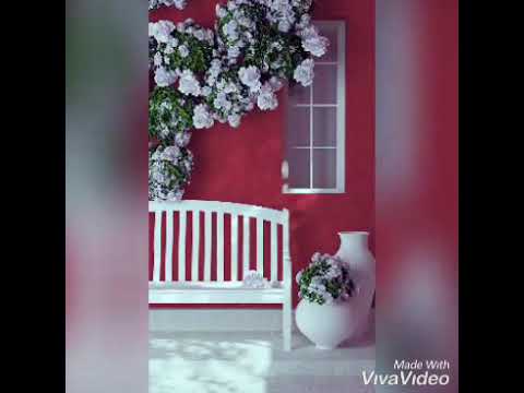 ပန်းတစ်ပွင့်ဖန်ဆင်းခြင်း 🌺 ဆို~ထရေစီ