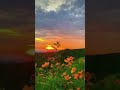 Dil Mera Puch Raha Hai Tujhse Song WhatsApp Status