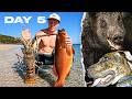 5 Days Hunting WILD PIGS Spearfishing Remote Australia