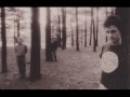 GALAXIE 500 - Decomposing Trees (Peel Sessions)