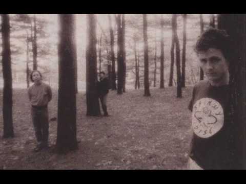 GALAXIE 500 - Decomposing Trees (Peel Sessions)