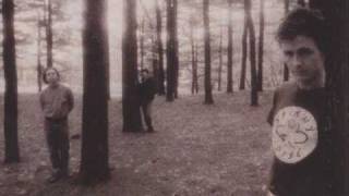 GALAXIE 500 - Decomposing Trees (Peel Sessions)