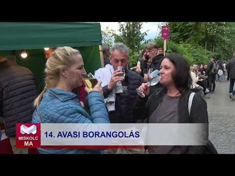 Videó előnézet