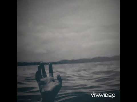 "Bamirësia" marrë nga libri "Parfumi" nga Matilda (Disha) Myftari