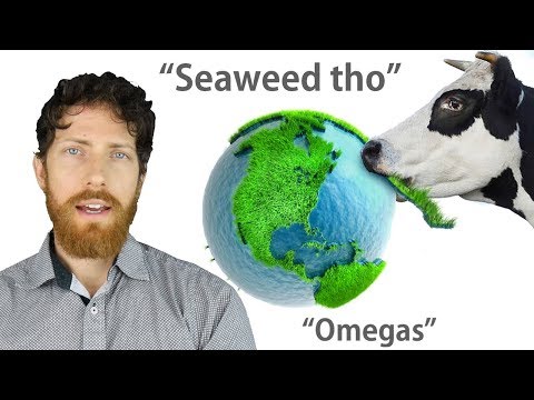 download lagu mp3 mp4 Grass Fed Side Of Beef, download lagu Grass Fed Side Of Beef gratis, unduh video klip Grass Fed Side Of Beef