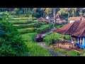 Hawa Dingin Meresap Ke Tulang Suasana Pagi Di Kampung Terpencil Pelosok Desa