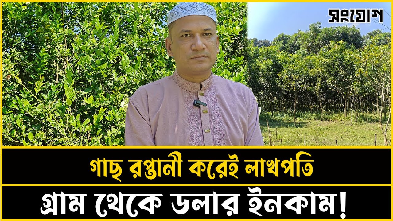 গাছের চারা রপ্তানী করে ডলার আয়!