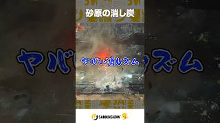 砂原の消し炭【モンスターハンターワイルズ】 #shorts