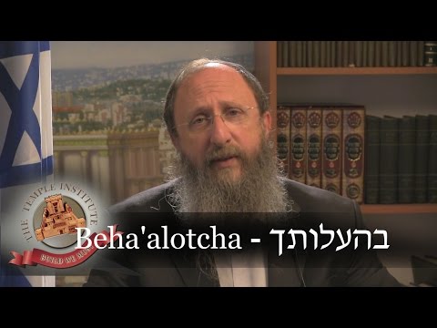 Weekly Torah Portion: Beha'alotcha