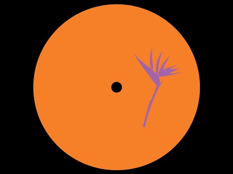 B2. Bisharat - Perspective (Doubtingthomas Remix)