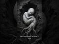 The Cursed Mandrake Root 🌿 Dark Folklore & Healing Myths. #shorts #darkfolklore #goodymango