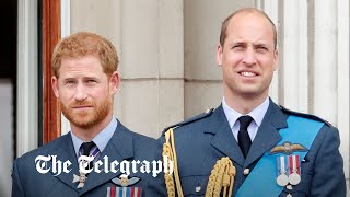 Prince Harry reveals secret code words with Prince William when he narrates Spare audiobook