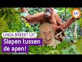 Linda breekt UIT! #22 Apenheul viert jubileum met bijzondere overnachting    | Omroep Gelderland