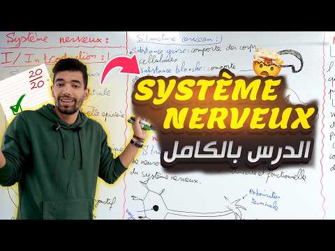 le système nerveux 3ème année collège