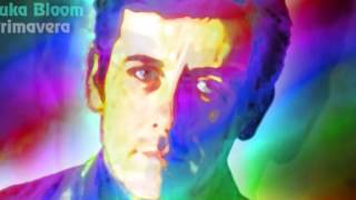 Luka Bloom - Primavera - Studio Version - Trippy Visuals