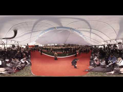 EVENT CAPSULE - 23rd Annual Screen Actors Guild Awards 360 - Arrivals