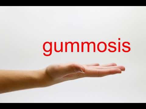 <h1 class=title>How to Pronounce gummosis - American English</h1>