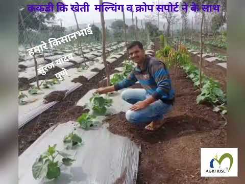 Mono nylon crop support net, for agriculture