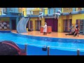 Sea World Orlando Sea Lion High New Show Some Animals Did Not Want To Perform