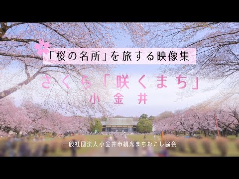 さくら「咲くまち」小金井 - 東京・小金井市内の「桜の名所」を旅する映像集
