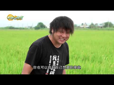 《土地的微笑》EP22 - 巡田水顧好米