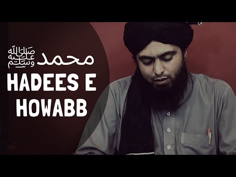 HADEES-e-HOWABB (Hadith of HOWABB'S DOGS) (Engineer Muhammad Ali Mirza)