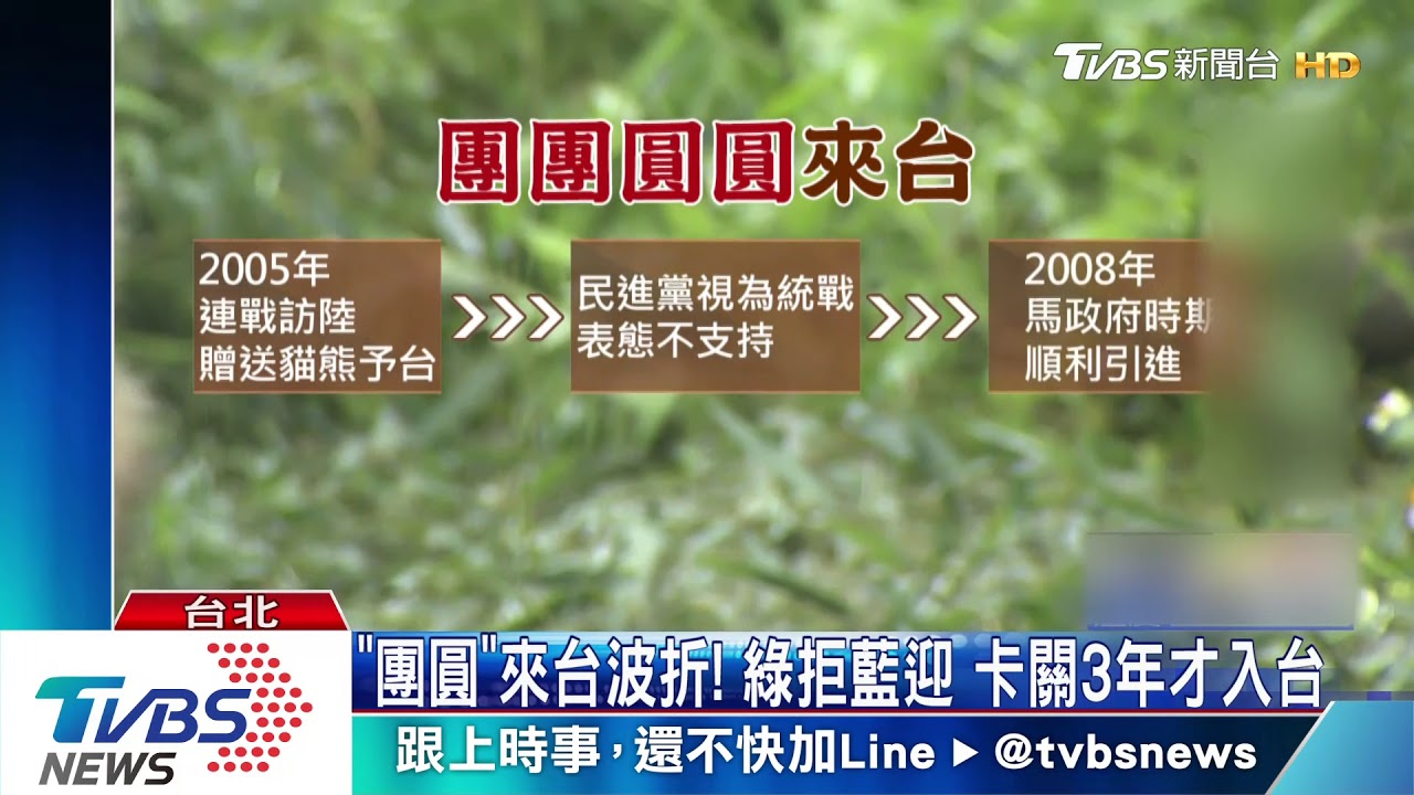 談陸貓熊陳吉仲:依規辦理 陸委會:不涉政治