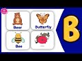 ABC Animals Alphabet Learning The Alphabet With Animal Names And Fun Facts Educational Kids Video