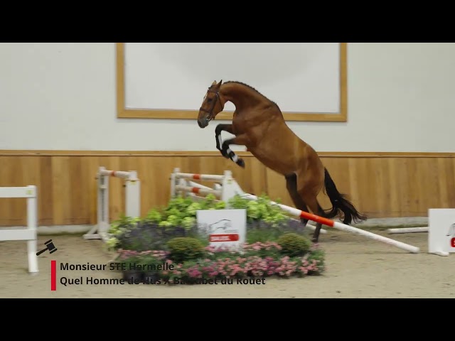 Monsieur STE Hermelle