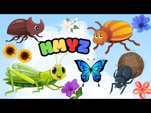 ???? HMYZ - brouci, motýli a další | Zábavné vzdělávací video pro děti | Hádanky a brouci ????