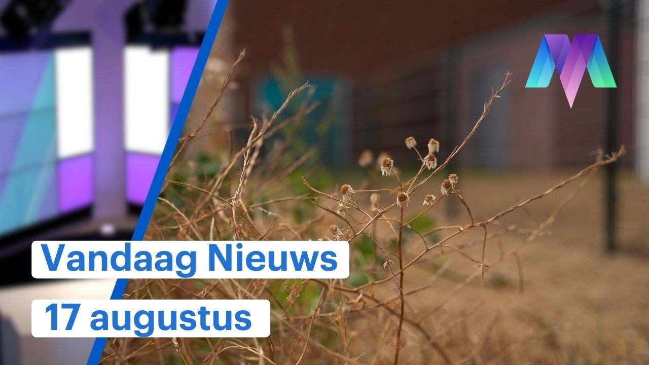 Vandaag Nieuws: Regen nog onvoldoende om droogte te breken