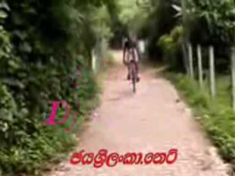 download lagu mp3 mp4 Sansara Sihine Mp3 Download Jayasrilanka Net, download lagu Sansara Sihine Mp3 Download Jayasrilanka Net gratis, unduh video klip Sansara Sihine Mp3 Download Jayasrilanka Net