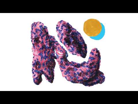 Teebs – ‘Did It Again (feat. Panda Bear)’ (Official Audio)