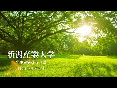 柏崎の自然と文化 ／ 地域理解ゼミナール・産大生制作