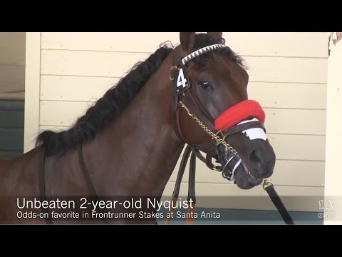 Nyquist wins FrontRunner Stakes