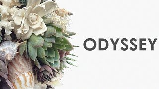 Johari ► Odyssey