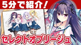 【5分で紹介】スラムからの成り上がり！高嶺の花を射止める物語「セレクトオブリージュ」