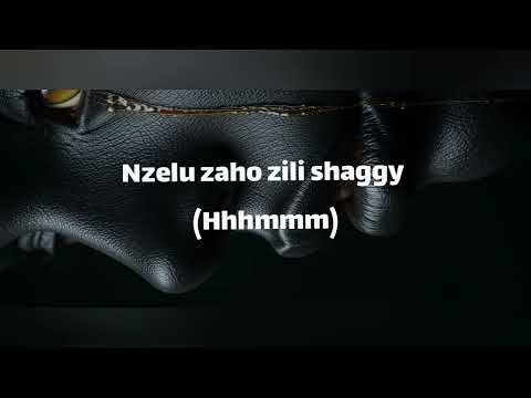 LIL LIN FT ZEMWA X VANISHER (OFFICIAL AUDIO)BA Lwani 