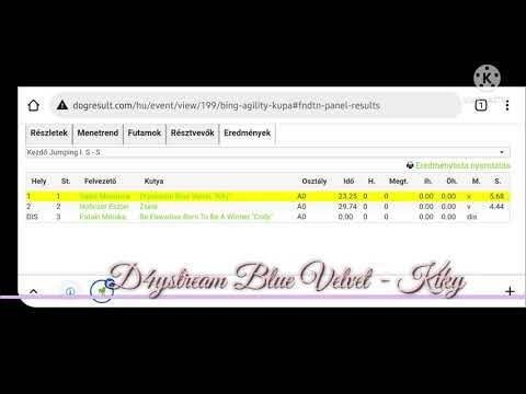 II. Bing Agility kupa '21.10.02      Drystream Blue Velvet - Kiky