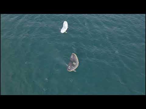 Cesta Juniorského mistra světa na vrchol ve wingfoilingu a Formula Kite