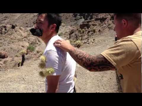 download lagu mp3 mp4 Quick Grab A Cactus, download lagu Quick Grab A Cactus gratis, unduh video klip Quick Grab A Cactus