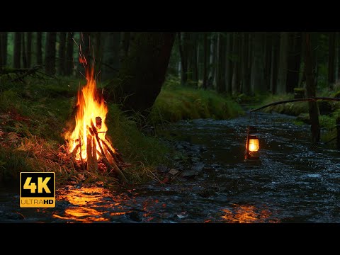 4K Campfire & Lantern by the dark River 🌙 Soothing Natural Sounds
