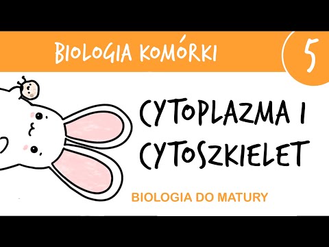 Cytology 5 - Cytoskeleton and cytoplasm - biology high school final exam, advanced level