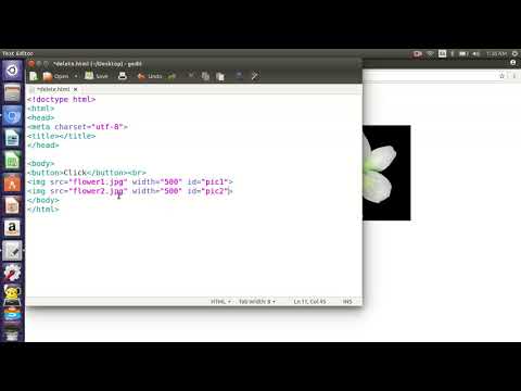 Javascript Dom 5 Deleting Elements