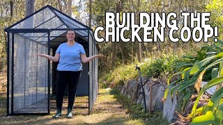 Building the NEW chicken coop! Royal Rooster Palace with Large Extension