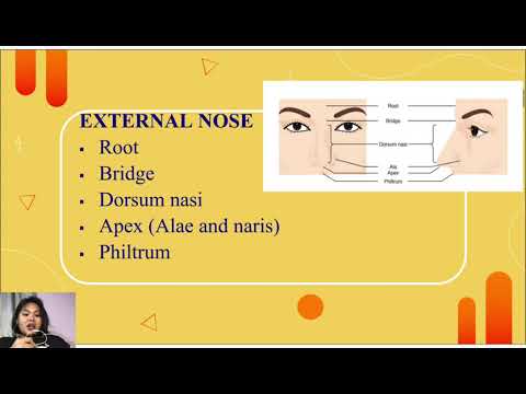 Respiratory system group A1 & B1
