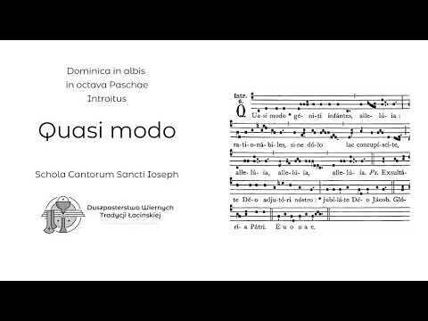 Quasi modo - Dominica in albis (Introitus)