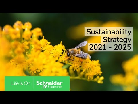Sustainability Strategy 2021-2025 | Schneider Electric