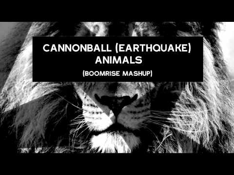 Showtek & Justin Prime vs Martin Garrix - Cannonball (Earthquake) Animals (BoomriSe Mashup)