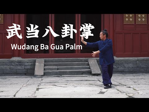Wudang Kung Fu Bagua Zhang | Ba Gua Palm | 武当八卦掌